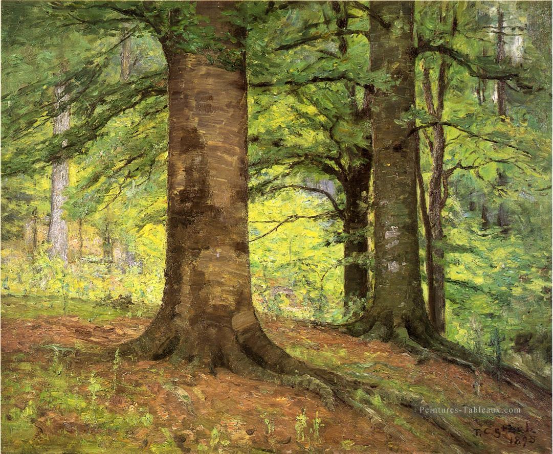 Hêtres Arbres Impressionniste Indiana paysages Théodore Clément Steele Forêt Peintures à l'huile